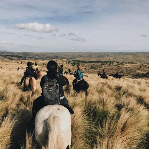 A group of people horseback riding through a grassy pasture in the Sierra Mountains.