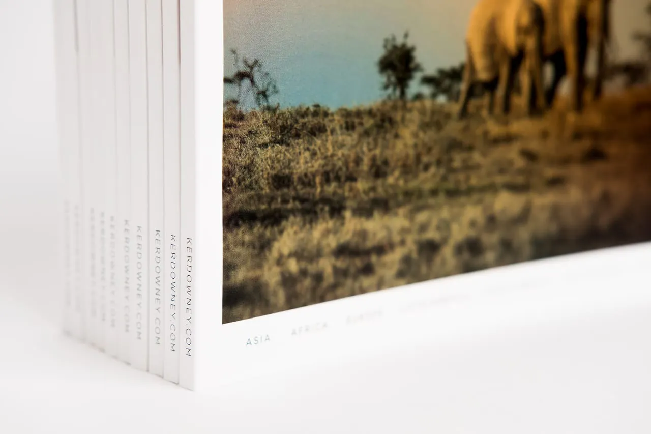 A stack of standing Quest travel books printed with a perfect binding and elephants on the cover.