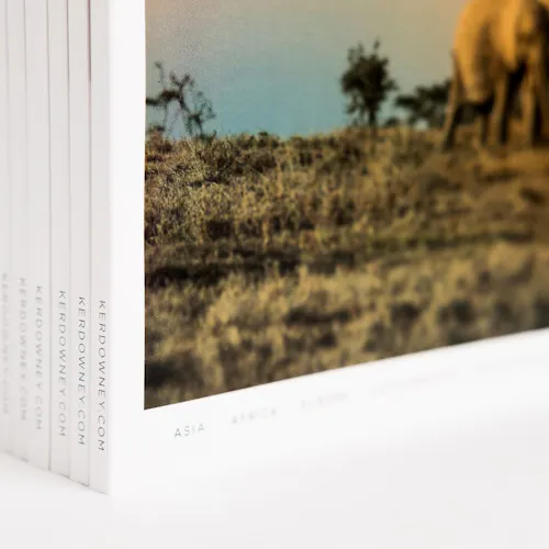 A stack of standing Quest travel books printed with a perfect binding and elephants on the cover.