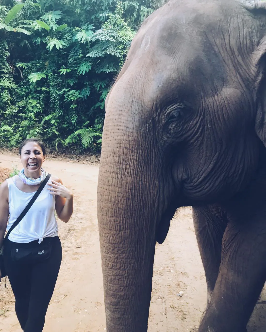 A woman in a white top smiling and standing next to an elephant in Elephant Nature Park in Chiang Mai, Thailand.