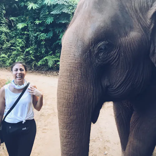 A woman in a white top smiling and standing next to an elephant in Elephant Nature Park in Chiang Mai, Thailand.