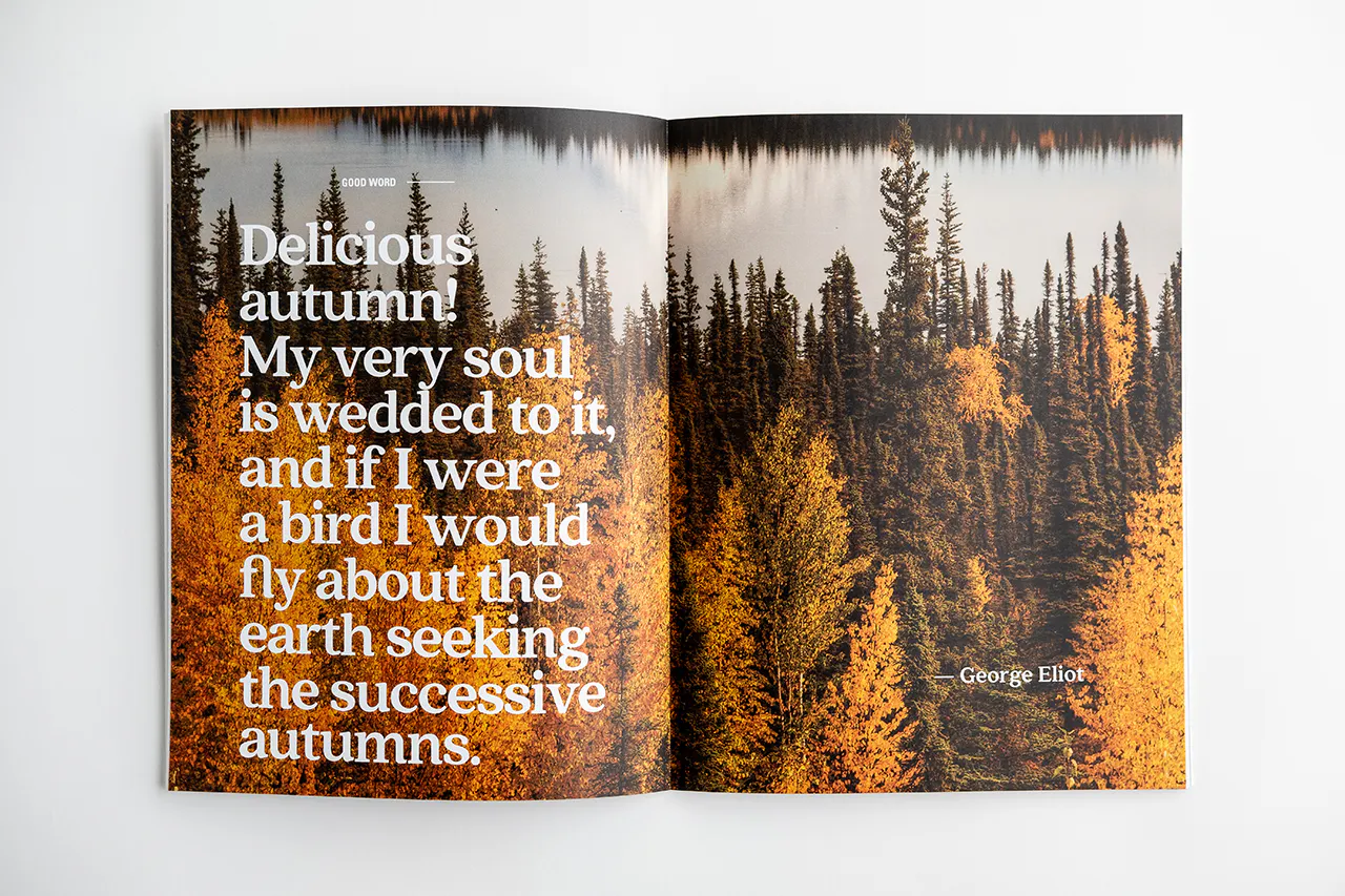 A photography magazine laying open to an image of a forest with golden and green trees and a quote about autumn.