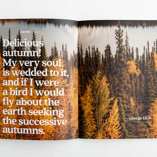 A photography magazine laying open to an image of a forest with golden and green trees and a quote about autumn.