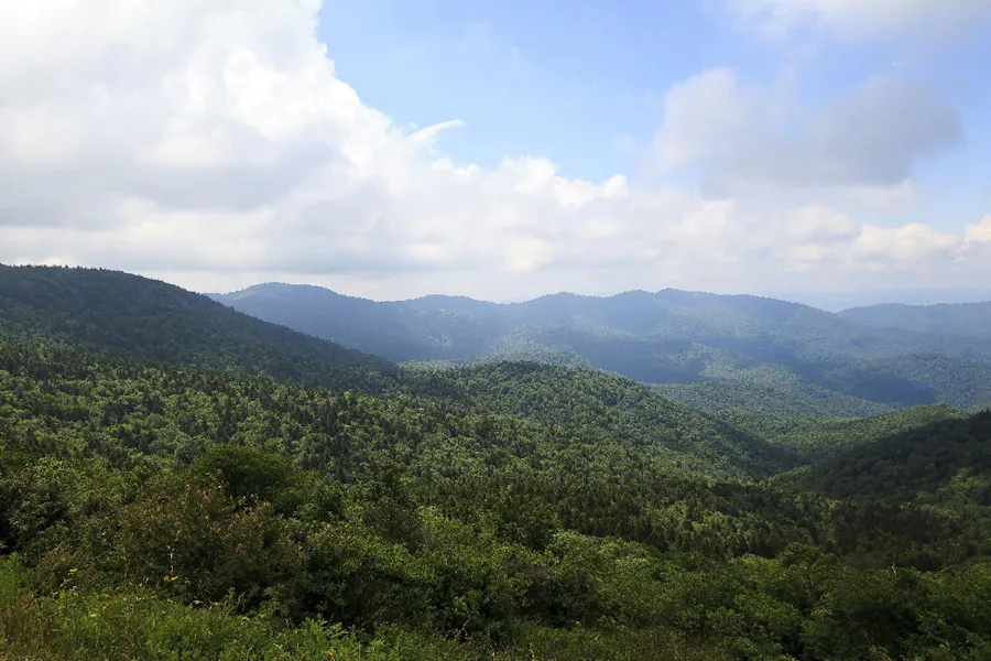A landscape of a lush green forest over rolling hills and a blue sky with puffy clouds.