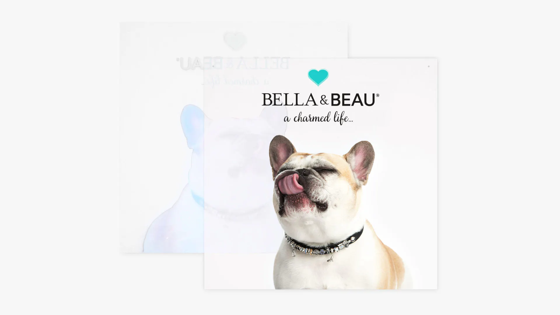 A custom clear sign printed with Bella & Beau A Charmed Life above an image of a French bulldog.