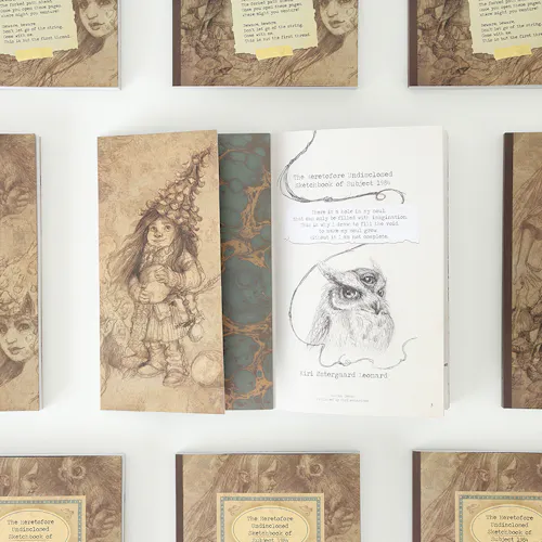 A custom sketchbook laying open to illustrations of a young girl wearing a hat and a three-eyed bird.