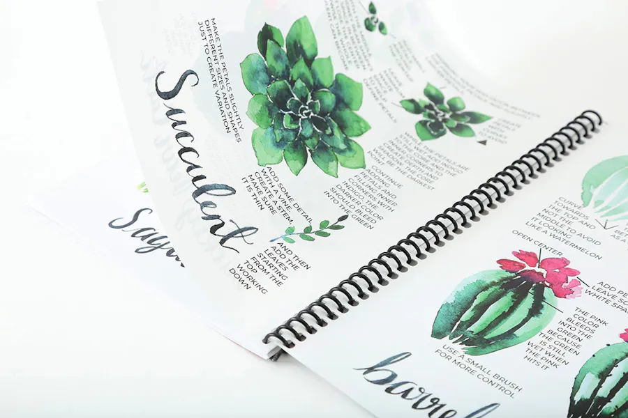 A spiral bound booklet laying open to graphics and instructions for painting watercolor succulents.