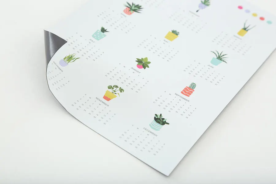 A custom calendar magnet with the bottom left corner curled up and images of succulents for each month.