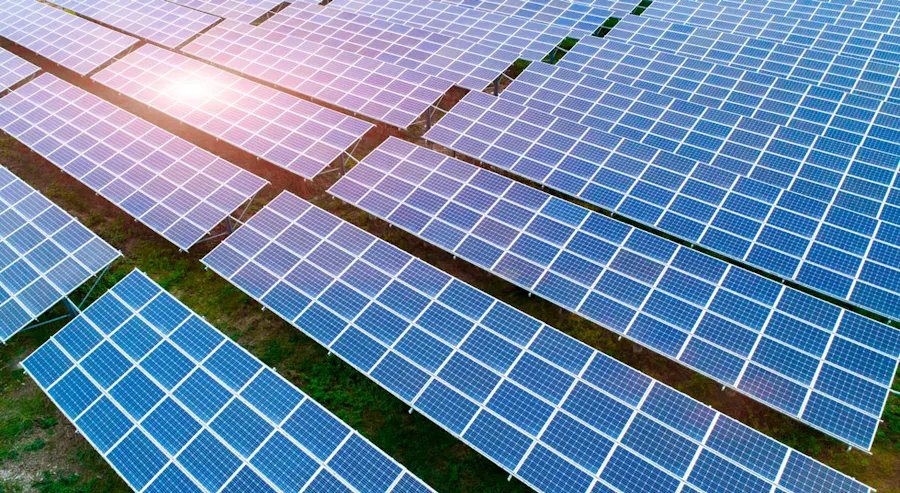 Three rows of solar panels in a field with grass beneath them.