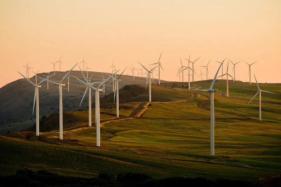 Multiple wind mills staggered in a field.