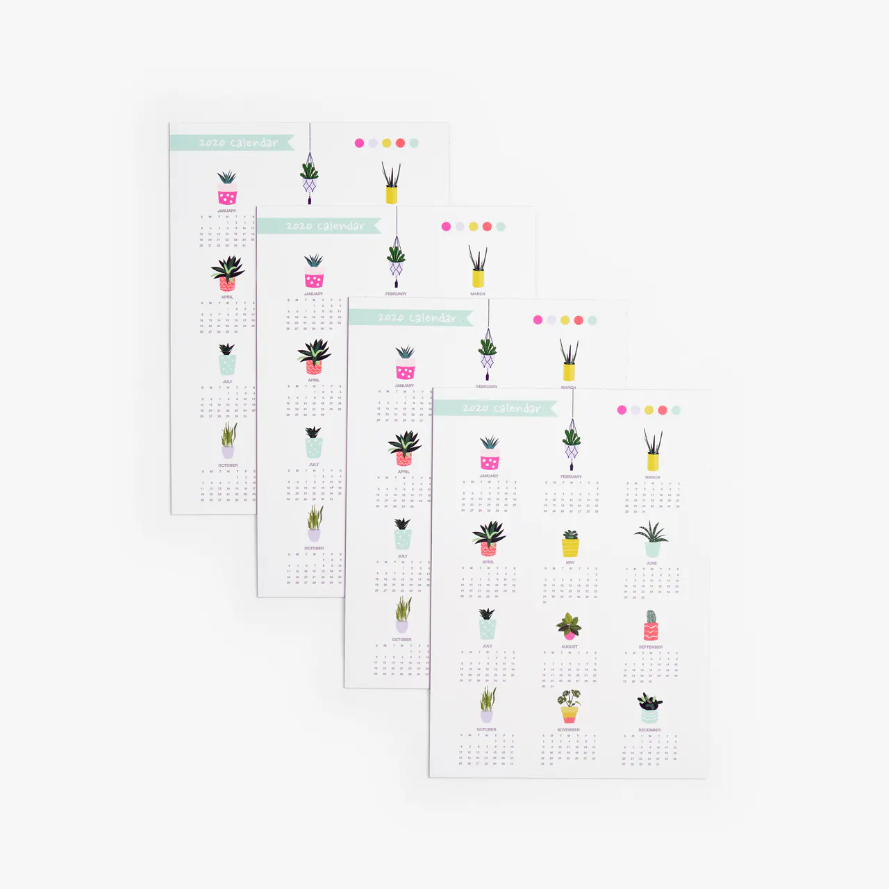 Four magnetic calendars fanned out with a white background and succulent designs above each month.