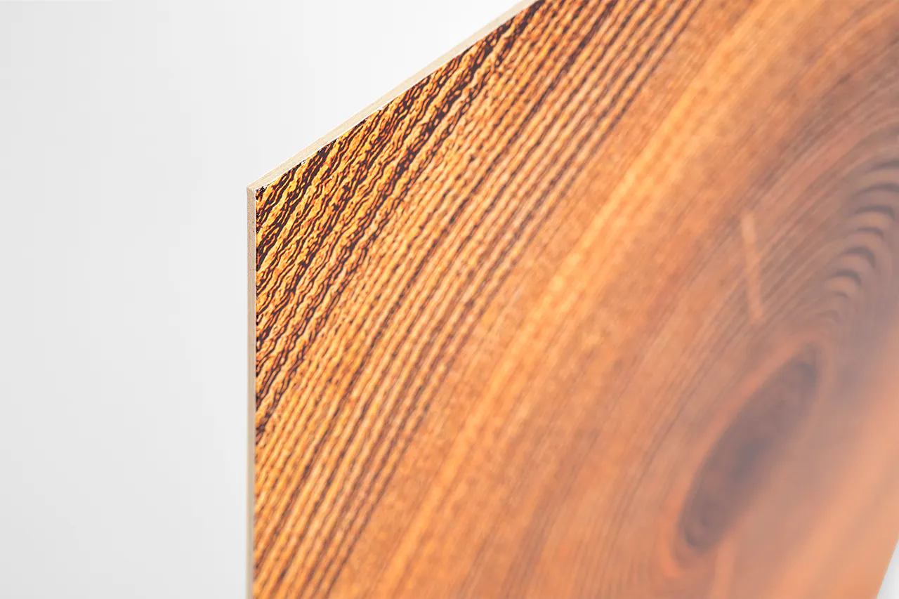 A piece of rigid paper board printed with a close-up image of tree rings.