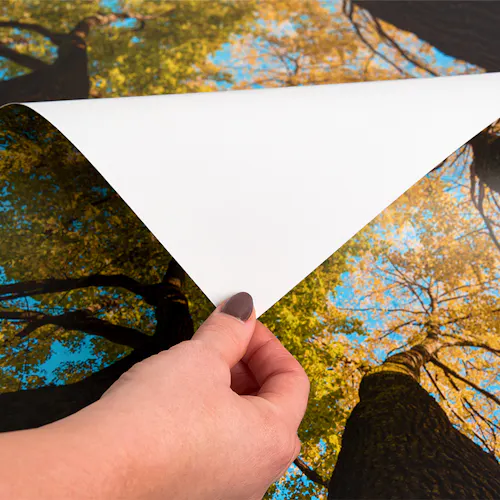 A hand pulling back the corner of paper-based backlit film printed with a tree and sky image.