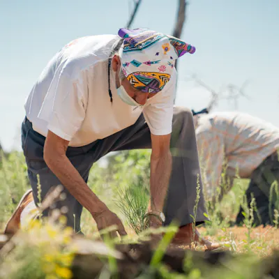 Corporate Sustainability: Platinum is Our New Green