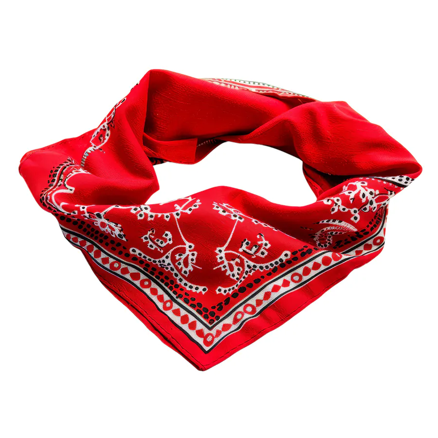 A red, white and black bandana founded into a circle.