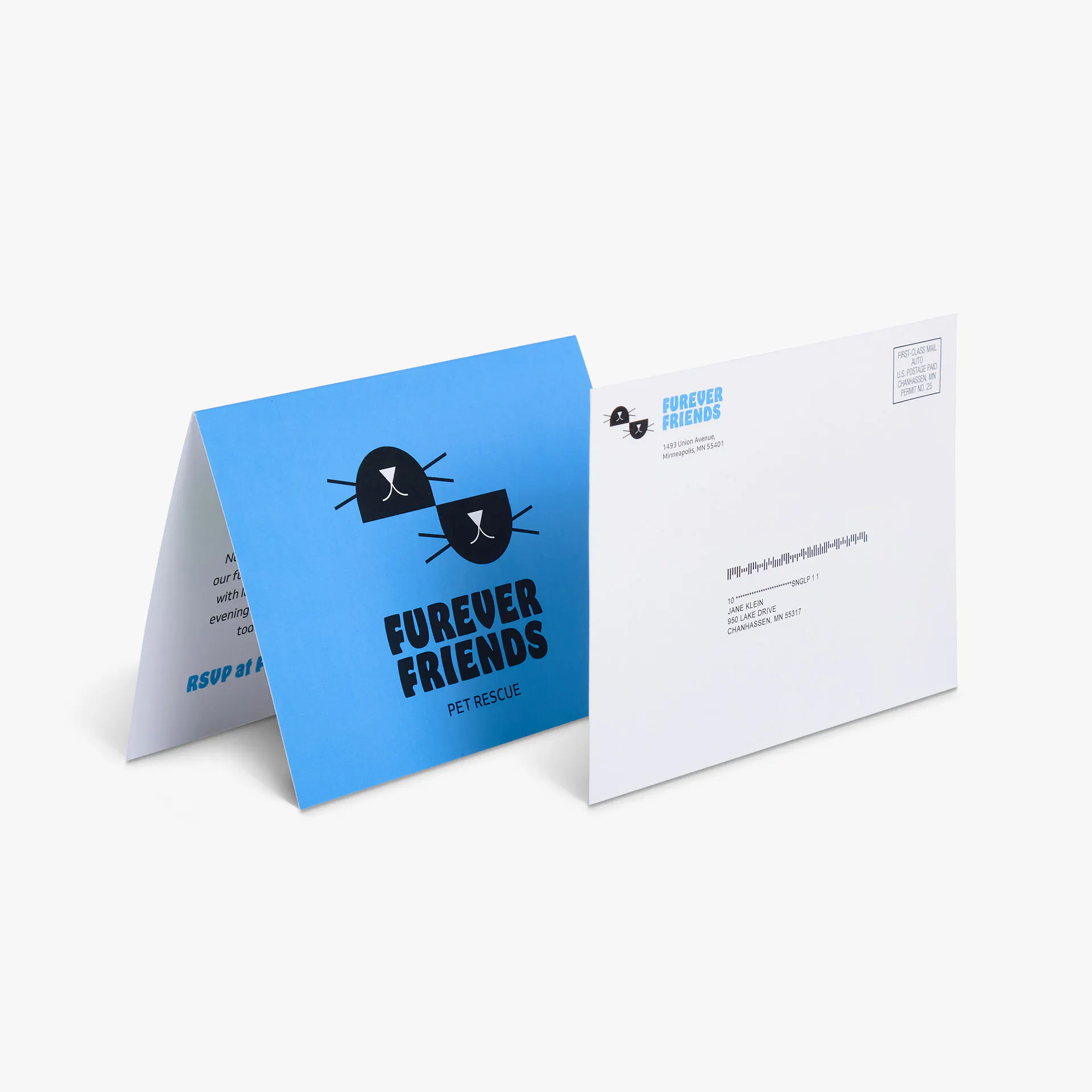 A direct mail card and envelope printed with Furever Friends Pet Rescue in black and blue.