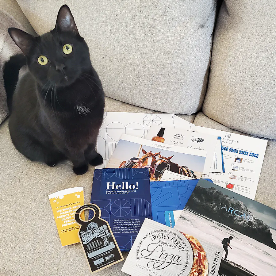 A black cat sitting on a gray couch next to a pile of custom print products with various marketing messages.