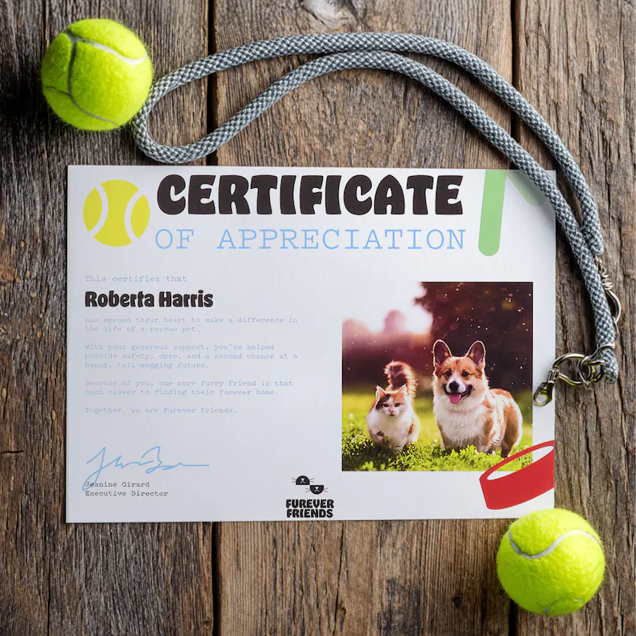 A nonprofit certificate of appreciation for Furever Friends next to a dog leash and tennis balls.