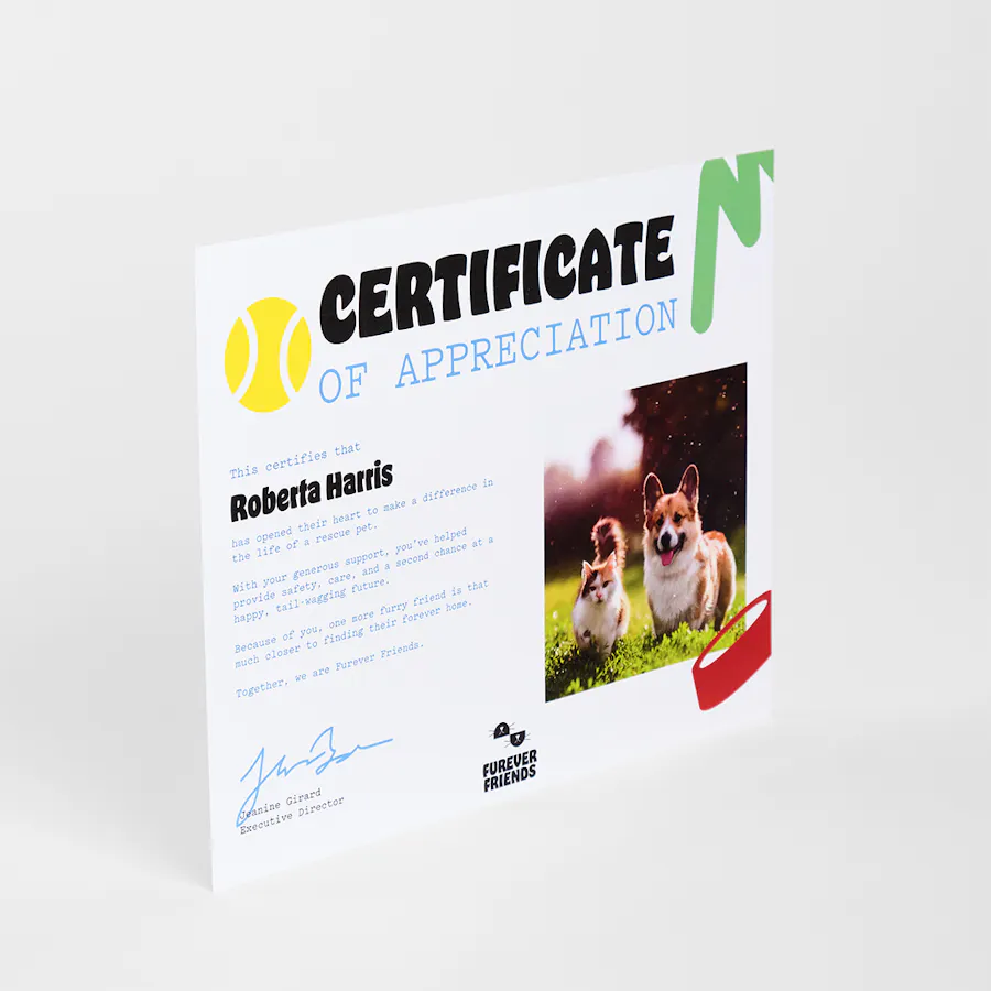 A certificate of appreciation printed for a donor for the Furever Friends nonprofit.