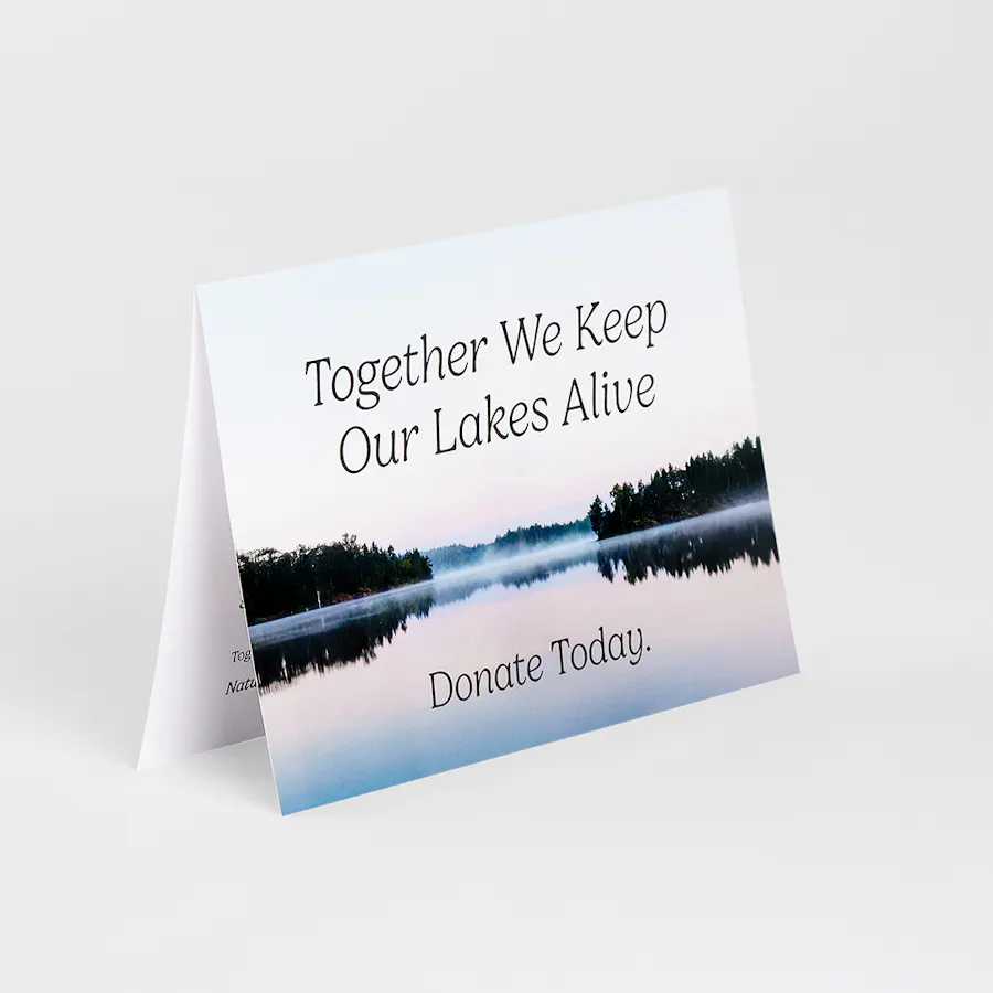 A year-end giving card printed with a lake and forest image and donation message.